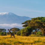 DeWatermark.ai_1737628262257